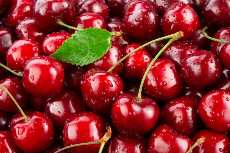 Image of 00x534 Exploring the Benefits of Buying Fresh cherries Online