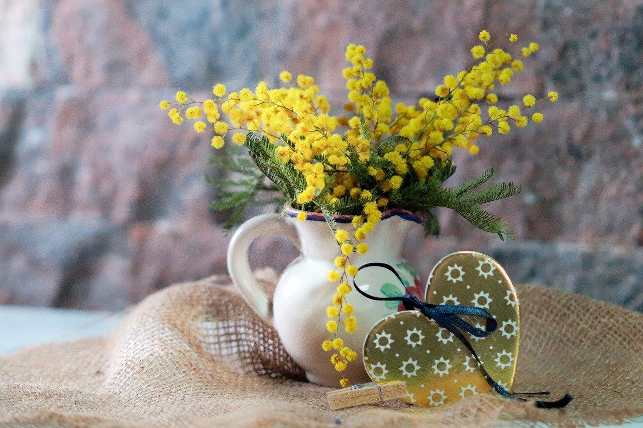 Best Practices for Planting and Caring for Mimosas