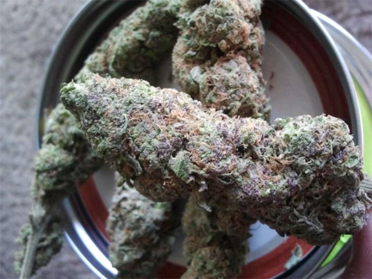 Image of 0o.jvc.jpg5ad4 Lavender Haze strain near me