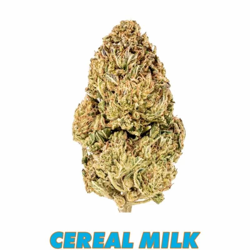 Cereal Milk weed strain