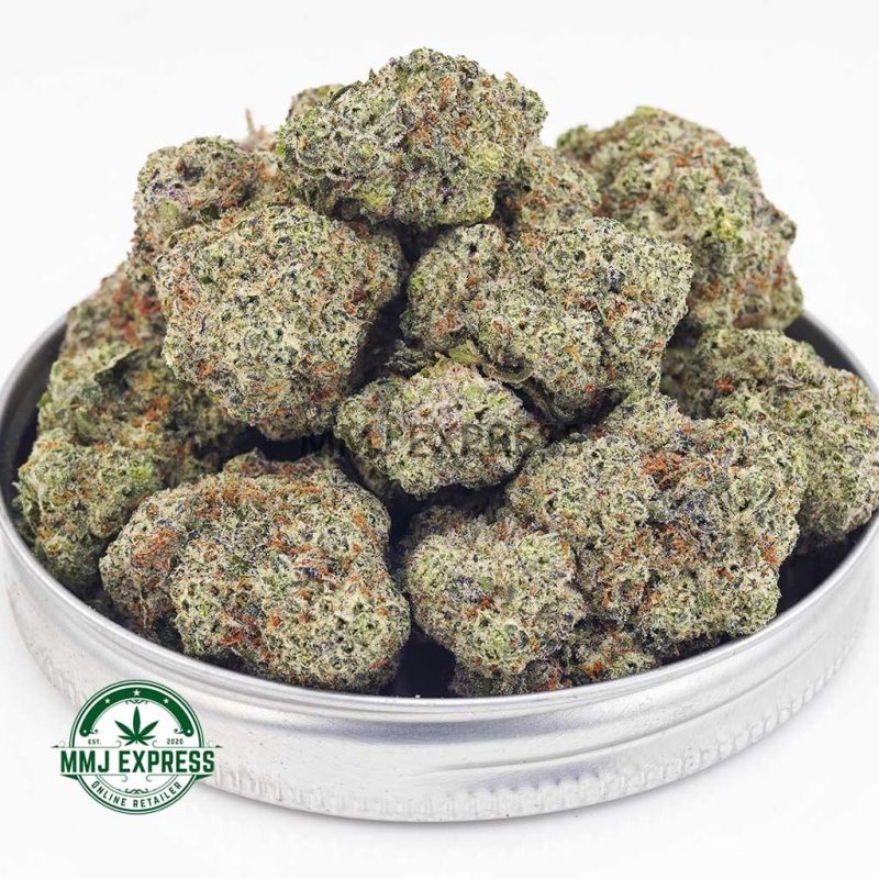 where can i buy Cereal Milk