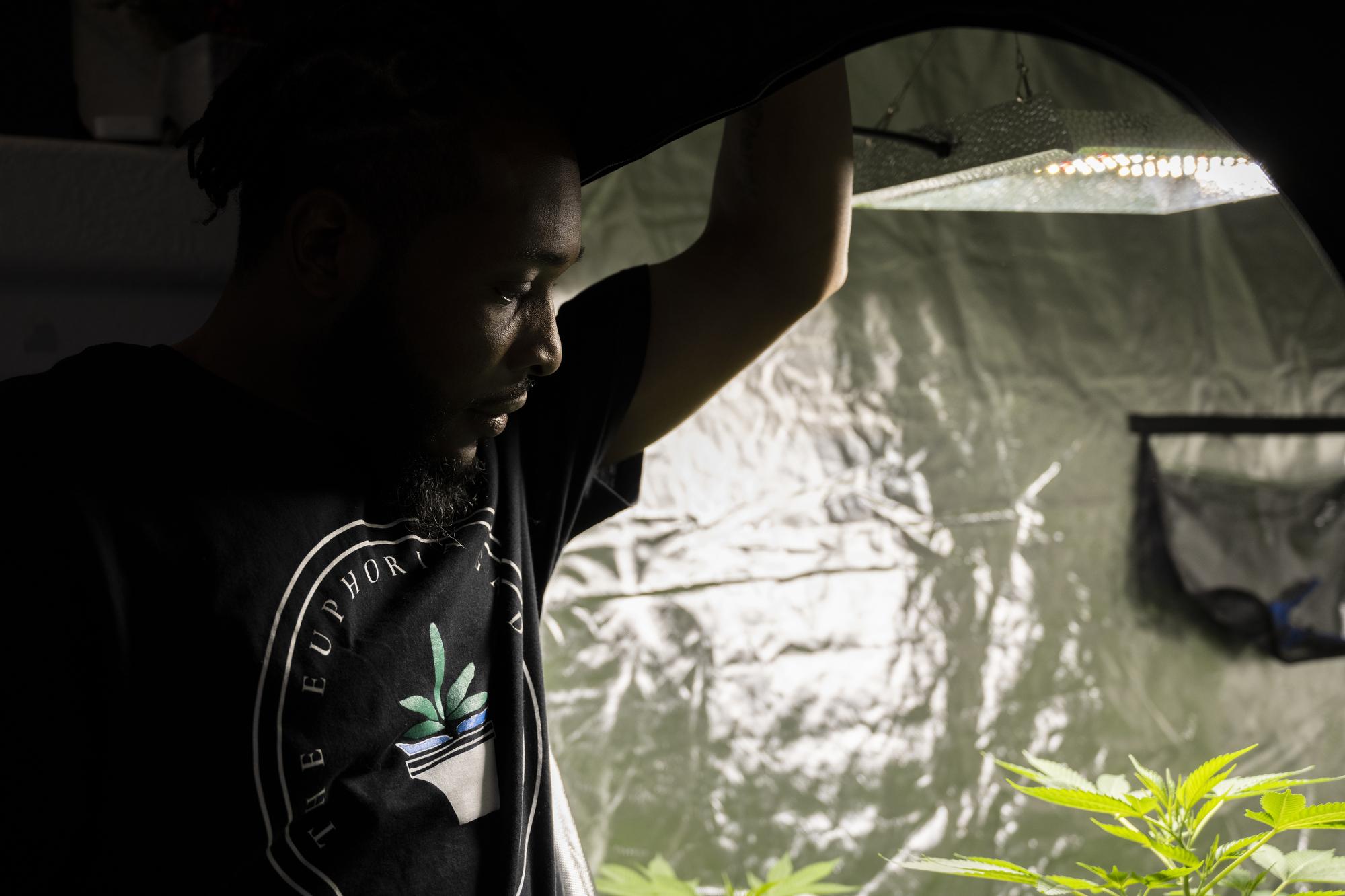 Cultivation Tips for Home Growers