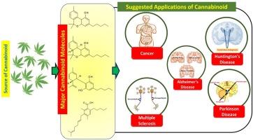understanding the Cannabinoid Content and Effects