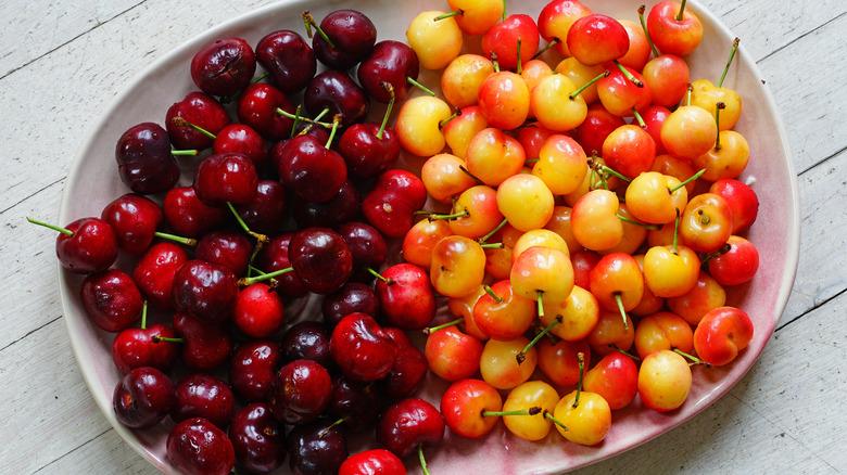 tips for Identifying premium cherry Varieties