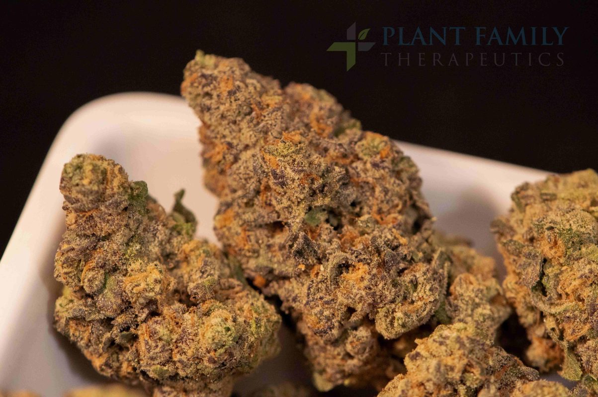 Gush Mintz #8 strain