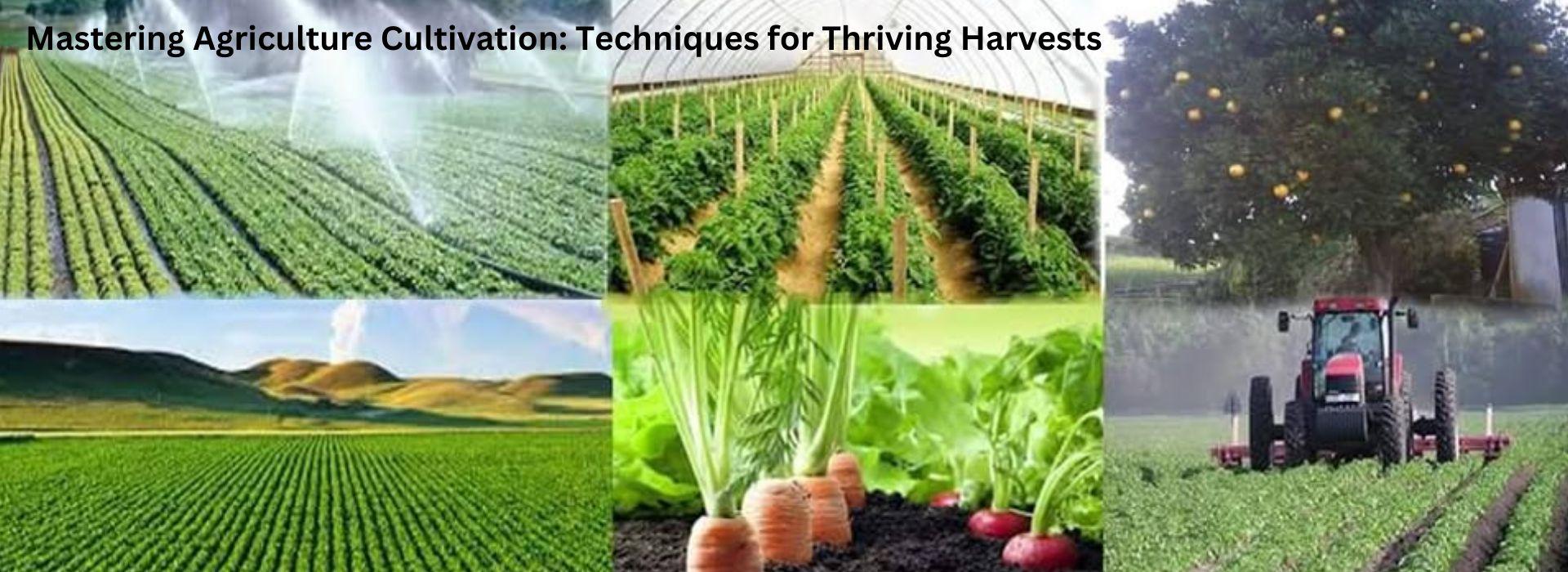 Cultivation techniques for Optimal Growth and Yield