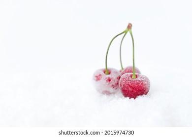 Pairing Suggestions: Enhancing Your experience with Frosted Cherries