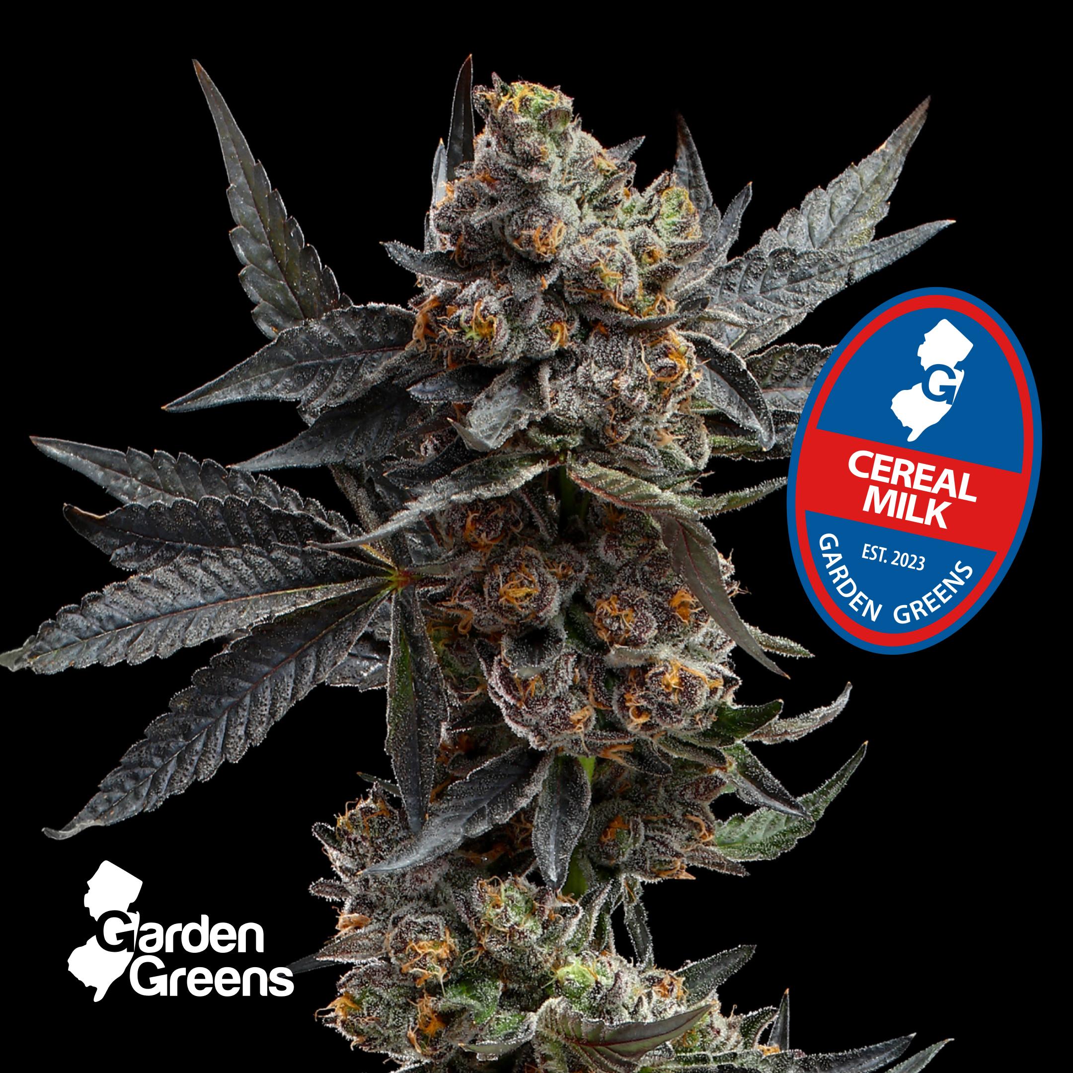 Unpacking the Genetic Make-up of Cereal milk