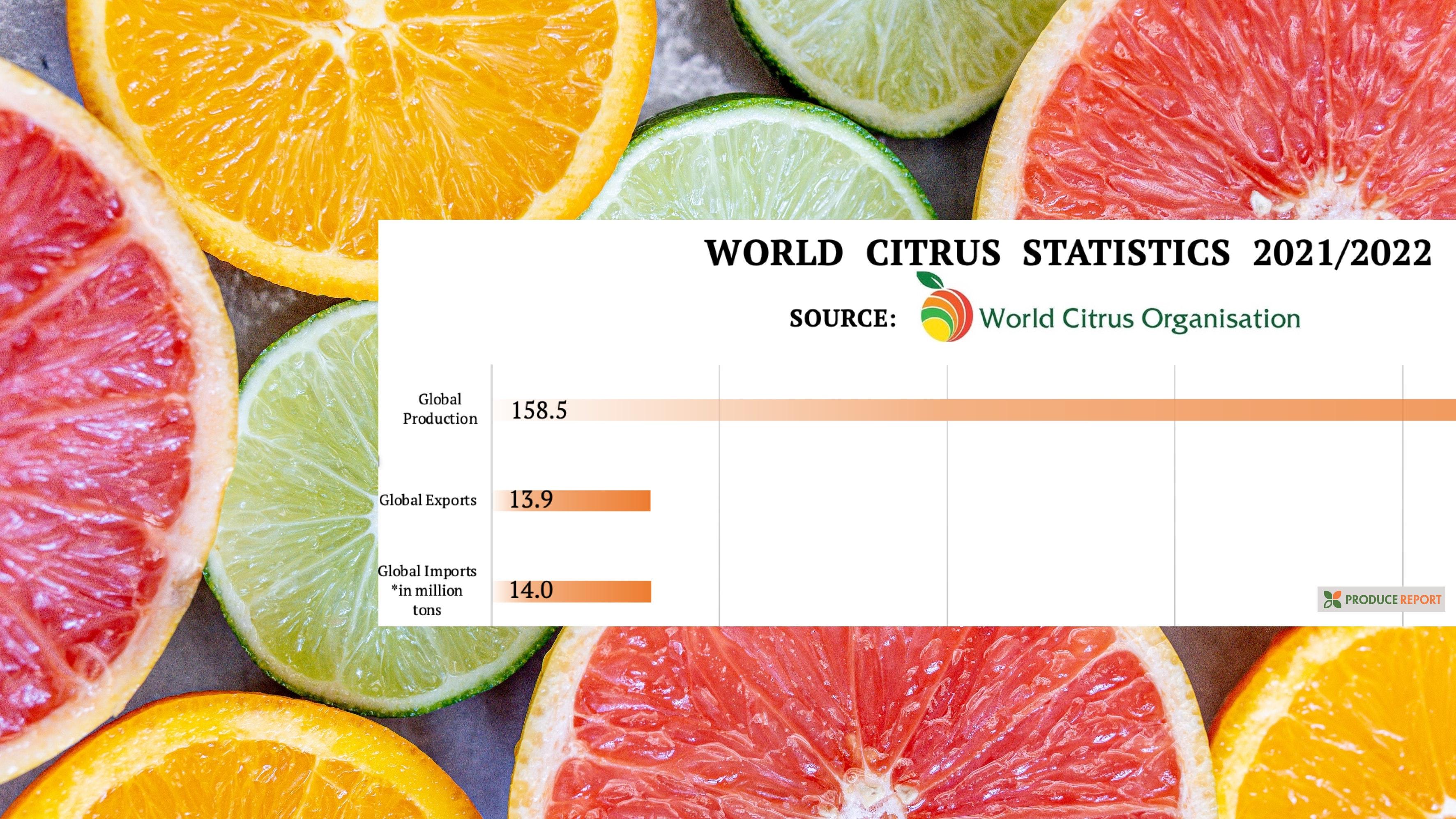 Fresh Ingredients: Sourcing the Best Citrus for Your Cart