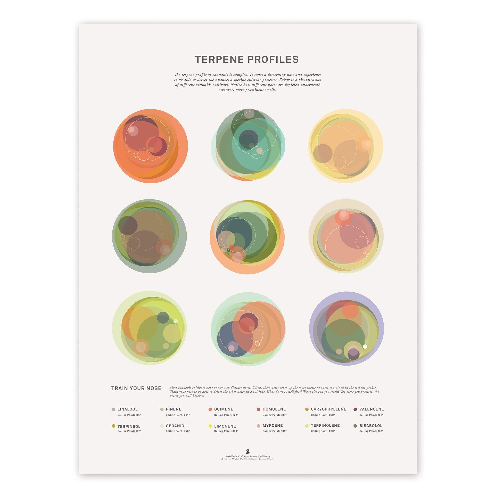 The Terpene Profile: Aromas and Flavors that Captivate
