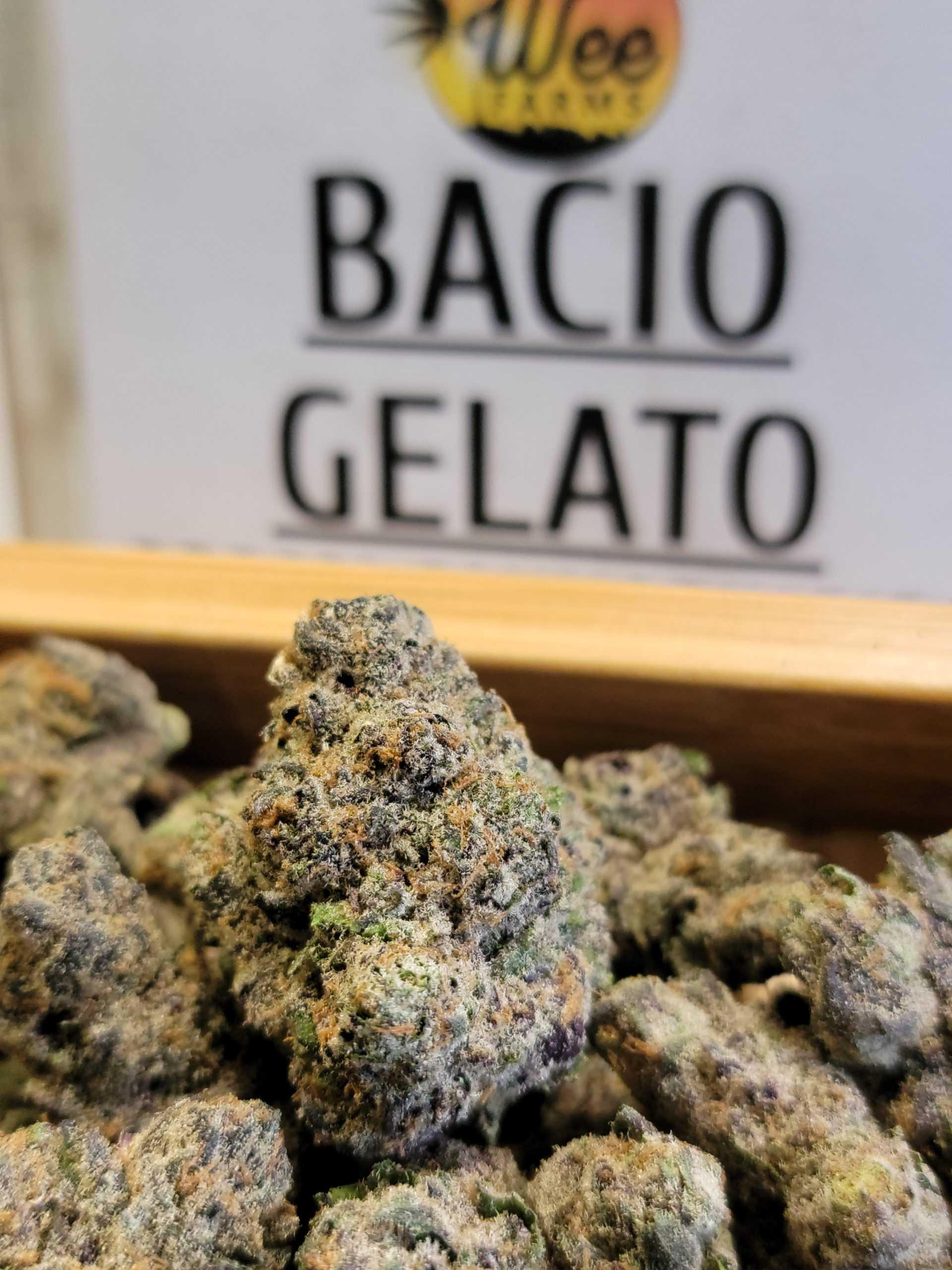 Image of aled 1.jpg704e Exploring the Essence of Bacio Gelato
