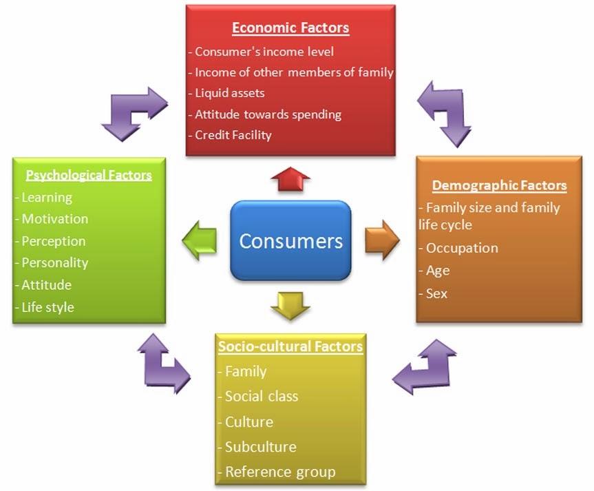 Key Factors to Consider Before Making a Purchase