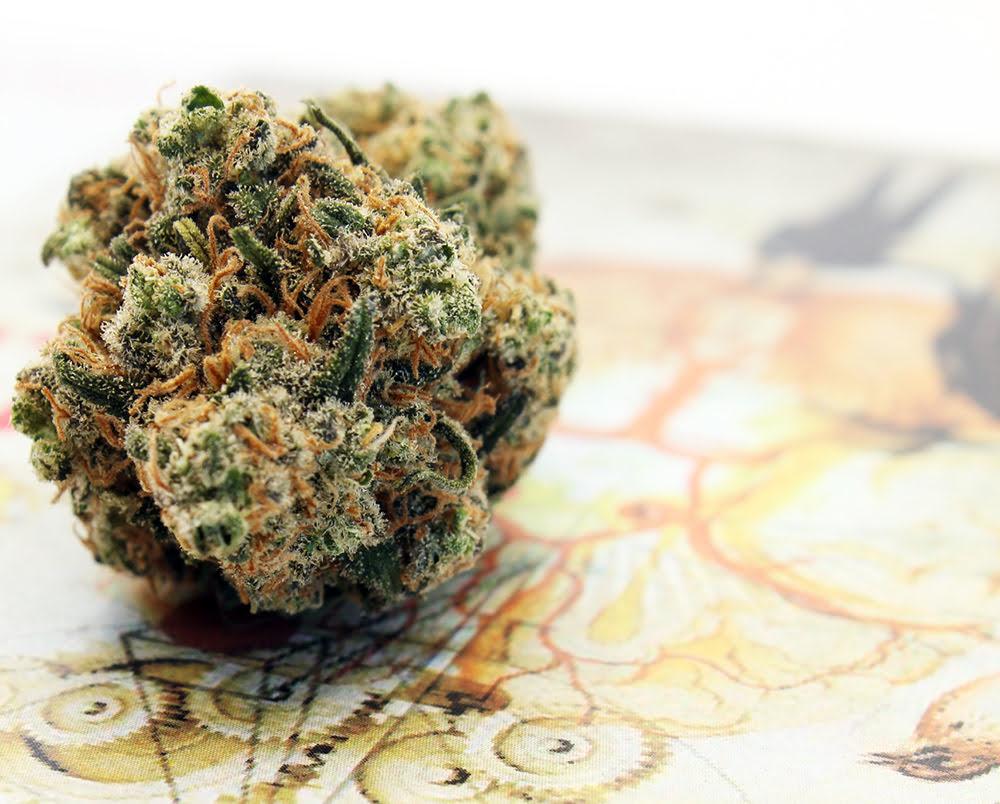 Navigating the Market: Where to Buy Quality Kush