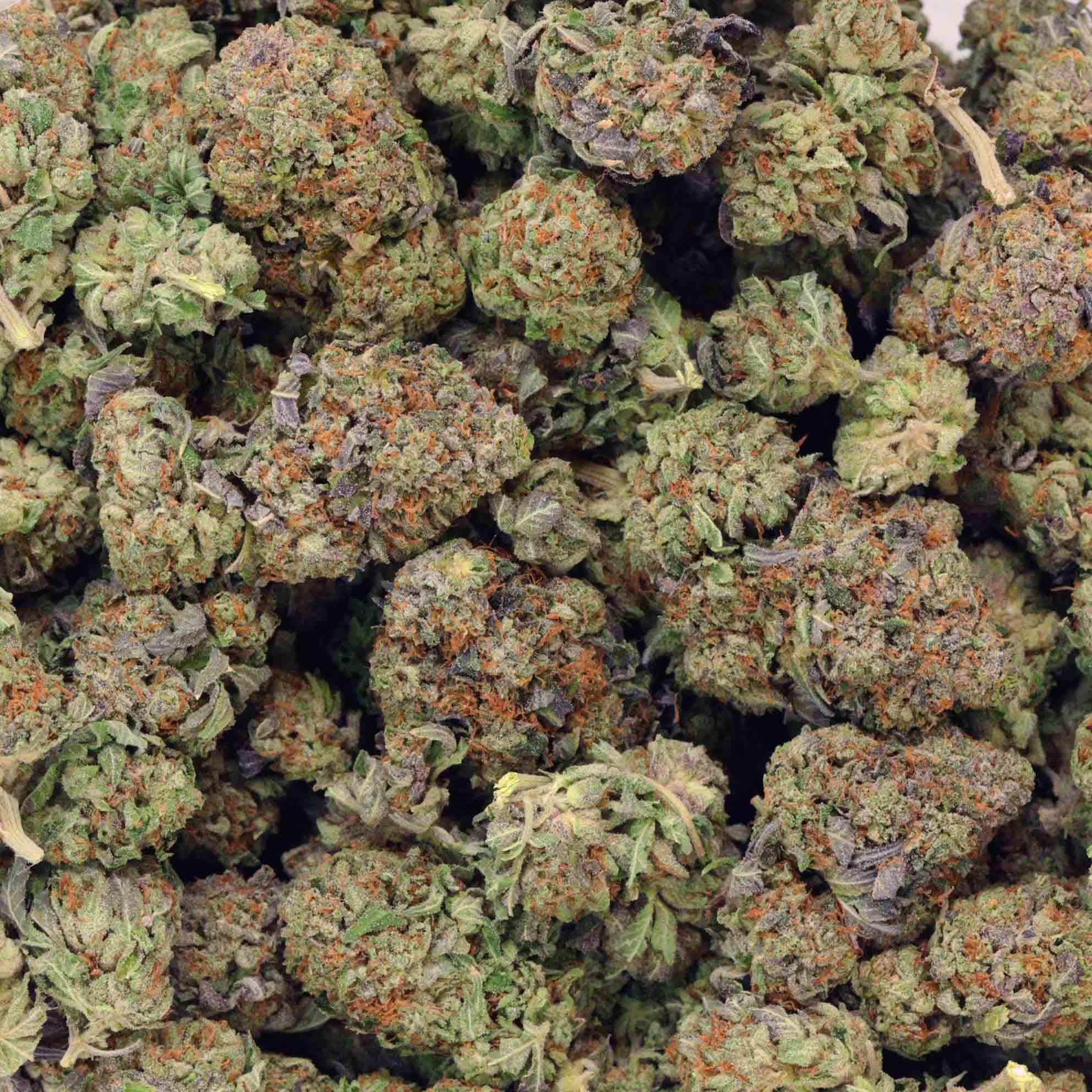 Image of lesale.jpga650 Jedi kush weed strain