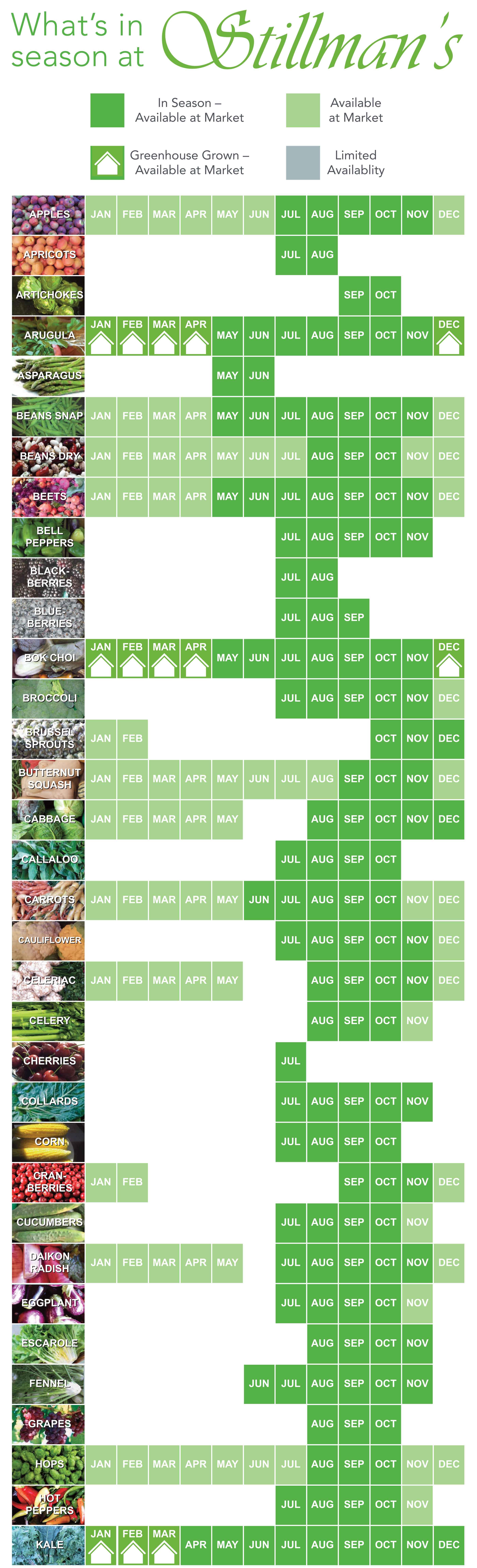 Understanding Seasonal Availability for Optimal Freshness