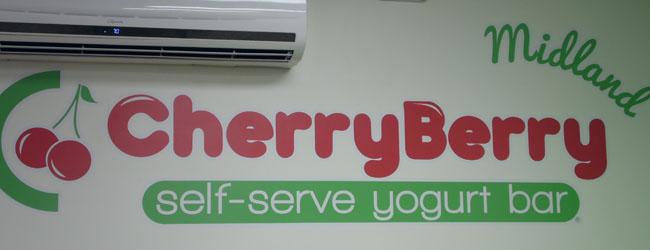 Creating Your Own Cherry Berry Experience at Home