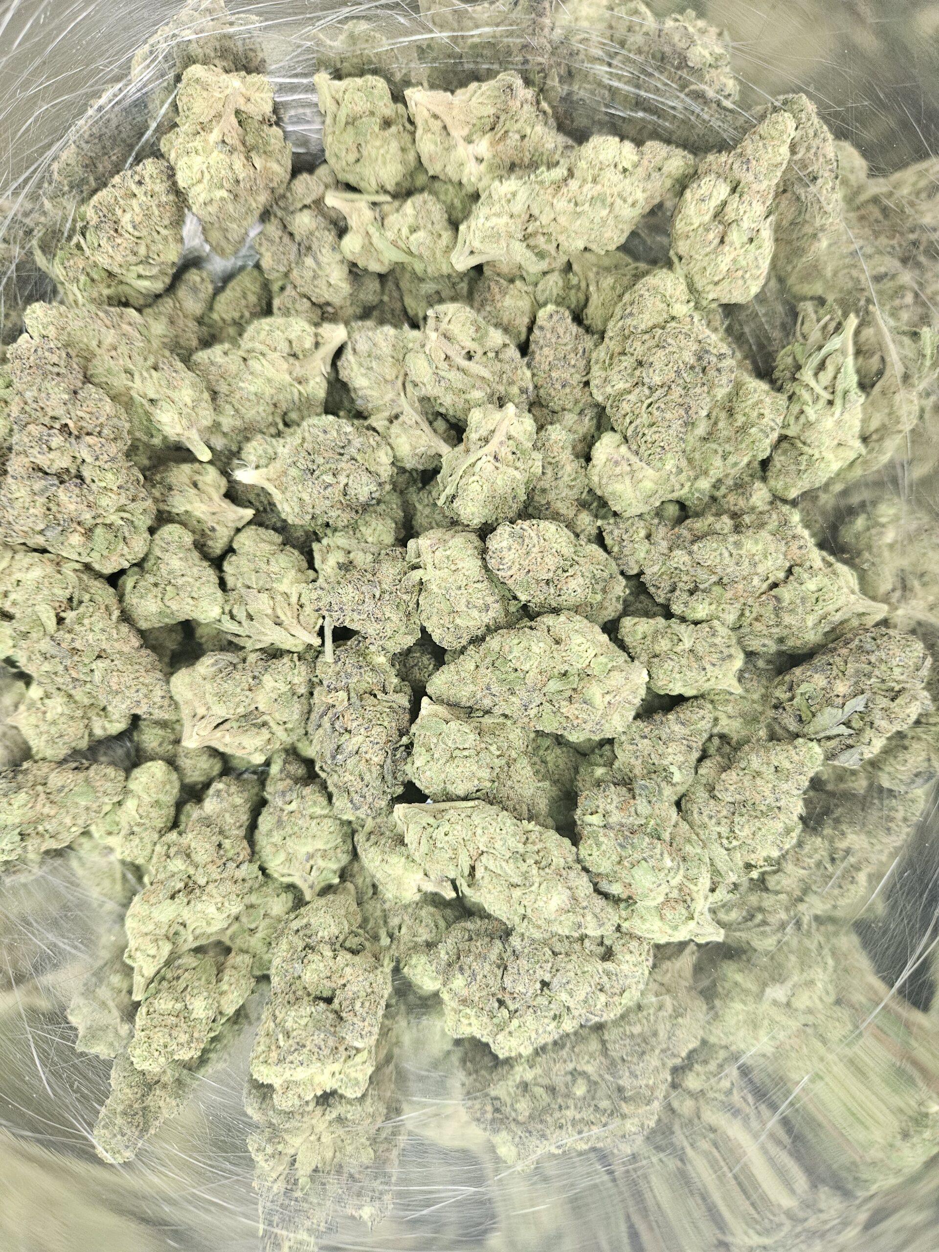 User Experiences: Testimonials and Outcomes with Gush Mintz THCA