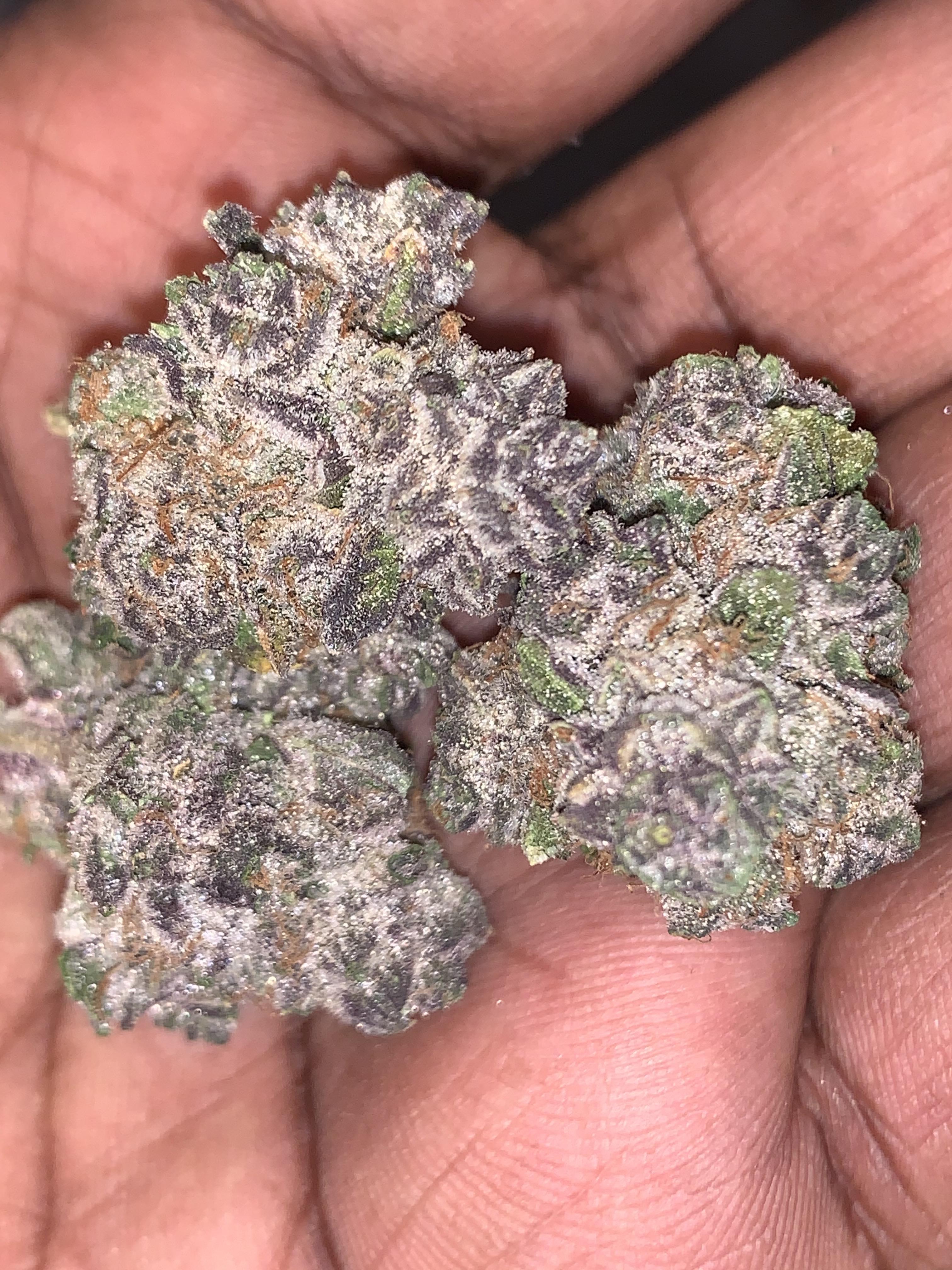 Cultivation Techniques for Optimal Growth