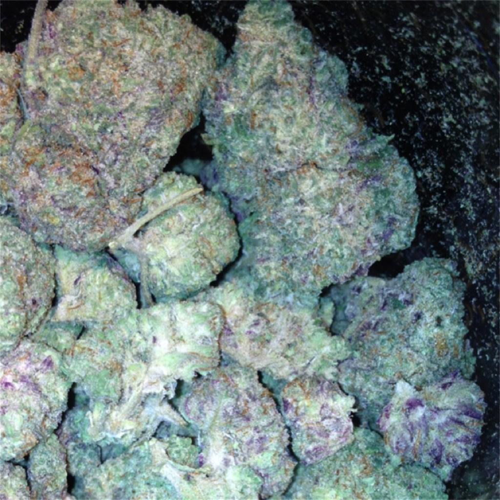 Exploring the Origins of White Raspberry Kush