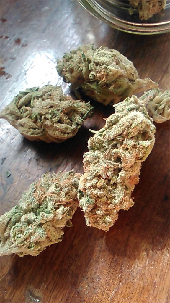 Flavor Profile: A Burst of Citrus and Sweetness