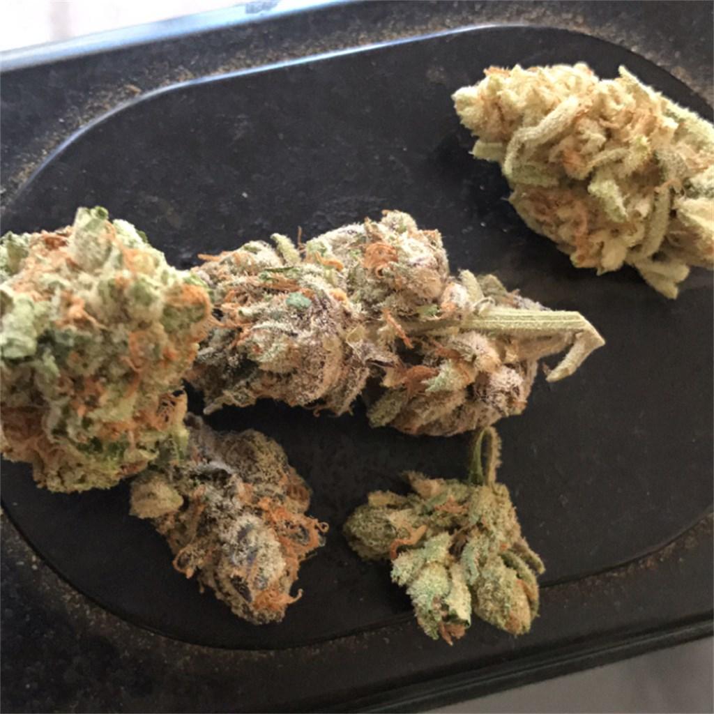 Cultivation Tips for Growing White Raspberry Kush