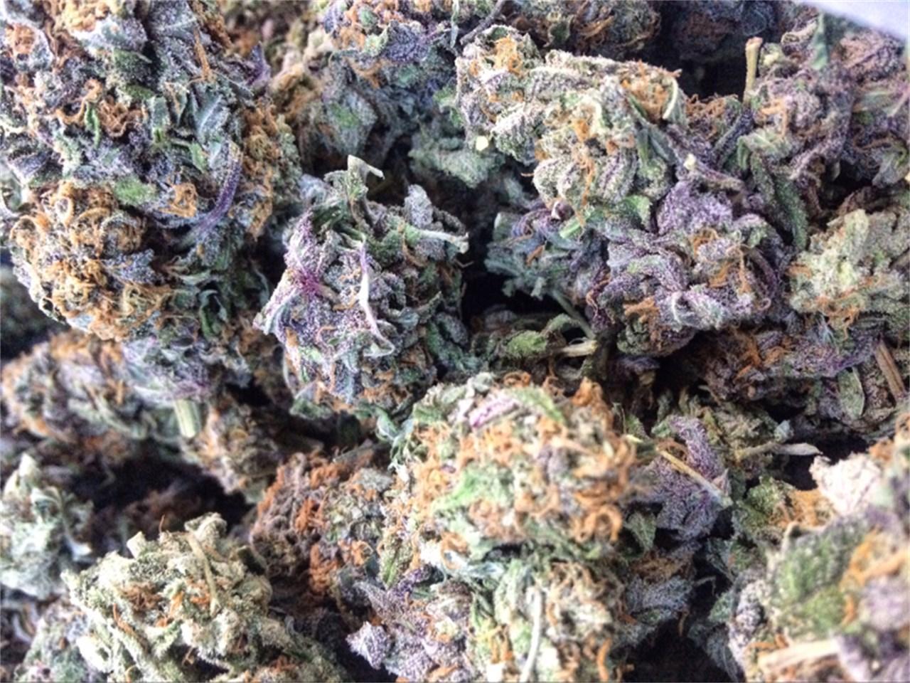 Image of y e0d7 Exploring the Allure of Purple Champagne Muha