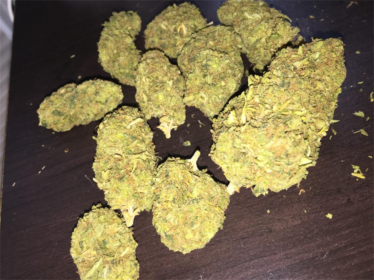 Exploring the Origins of Jedi Kush Strain